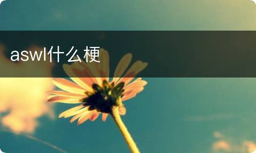 aswl什么梗