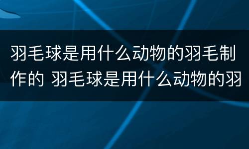 羽毛球是用什么动物的羽毛制作的 羽毛球是用什么动物的羽毛制作的英语
