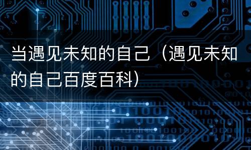 当遇见未知的自己（遇见未知的自己百度百科）