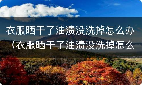 衣服晒干了油渍没洗掉怎么办（衣服晒干了油渍没洗掉怎么办小妙招）