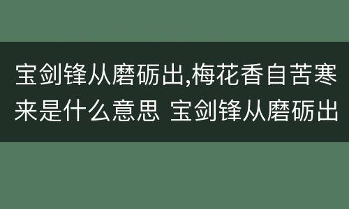 宝剑锋从磨砺出,梅花香自苦寒来是什么意思 宝剑锋从磨砺出,梅花香自苦寒来的含义