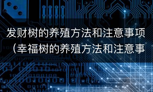 发财树的养殖方法和注意事项（幸福树的养殖方法和注意事项）