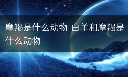 摩羯是什么动物 白羊和摩羯是什么动物