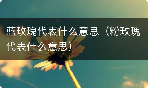 蓝玫瑰代表什么意思（粉玫瑰代表什么意思）
