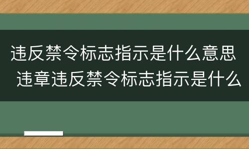 违反禁令标志指示是什么意思 违章违反禁令标志指示是什么意思