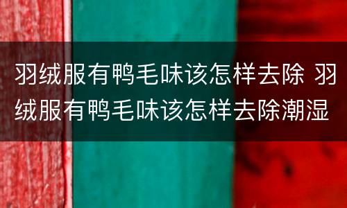 羽绒服有鸭毛味该怎样去除 羽绒服有鸭毛味该怎样去除潮湿的地方