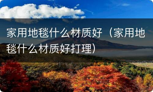 家用地毯什么材质好（家用地毯什么材质好打理）