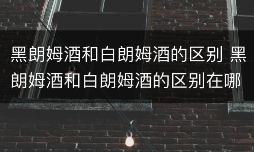 黑朗姆酒和白朗姆酒的区别 黑朗姆酒和白朗姆酒的区别在哪里
