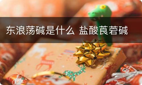 东浪荡碱是什么 盐酸莨菪碱