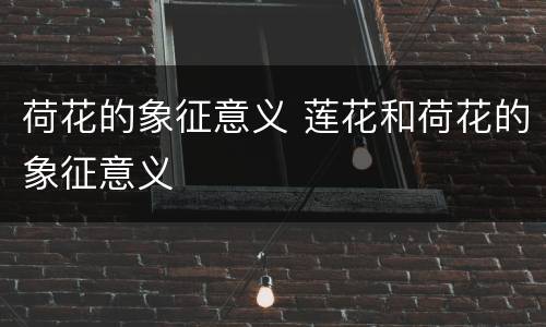 荷花的象征意义 莲花和荷花的象征意义