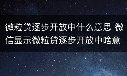 微粒贷逐步开放中什么意思 微信显示微粒贷逐步开放中啥意思