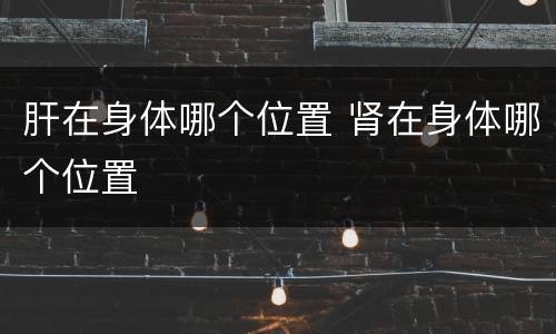 肝在身体哪个位置 肾在身体哪个位置