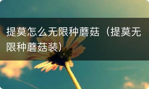 提莫怎么无限种蘑菇（提莫无限种蘑菇装）