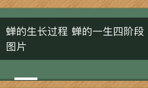 蝉的生长过程 蝉的一生四阶段图片
