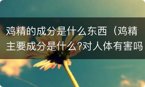 鸡精的成分是什么东西（鸡精主要成分是什么?对人体有害吗?）