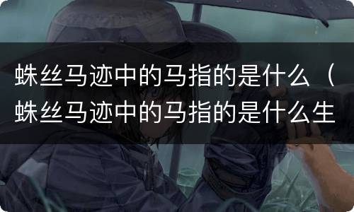 蛛丝马迹中的马指的是什么（蛛丝马迹中的马指的是什么生肖）