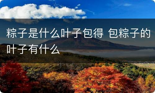 粽子是什么叶子包得 包粽子的叶子有什么