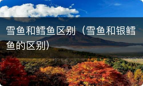 雪鱼和鳕鱼区别（雪鱼和银鳕鱼的区别）