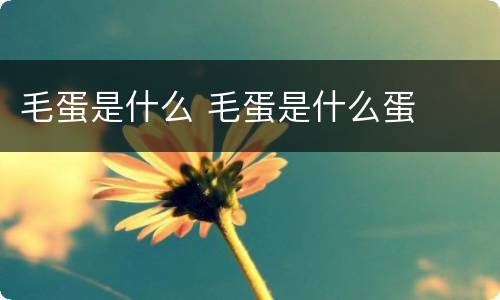 毛蛋是什么 毛蛋是什么蛋