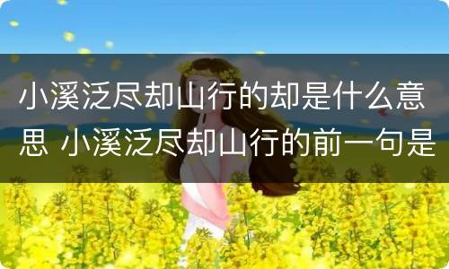 小溪泛尽却山行的却是什么意思 小溪泛尽却山行的前一句是哪一句