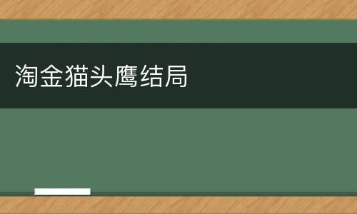 淘金猫头鹰结局