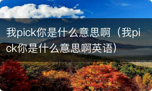 我pick你是什么意思啊（我pick你是什么意思啊英语）