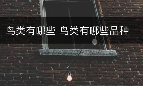 鸟类有哪些 鸟类有哪些品种