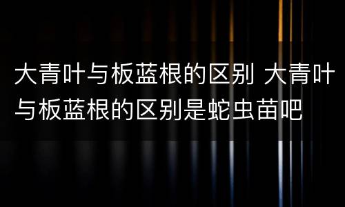 大青叶与板蓝根的区别 大青叶与板蓝根的区别是蛇虫苗吧