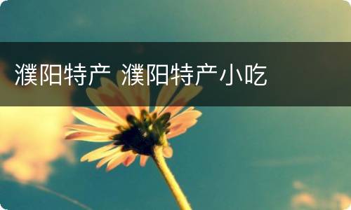 濮阳特产 濮阳特产小吃