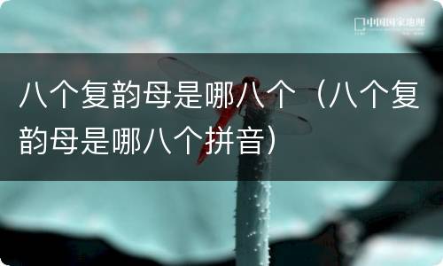 八个复韵母是哪八个（八个复韵母是哪八个拼音）