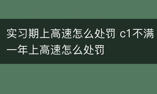 实习期上高速怎么处罚 c1不满一年上高速怎么处罚