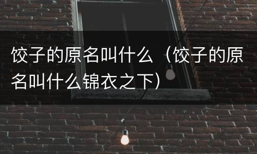 饺子的原名叫什么（饺子的原名叫什么锦衣之下）