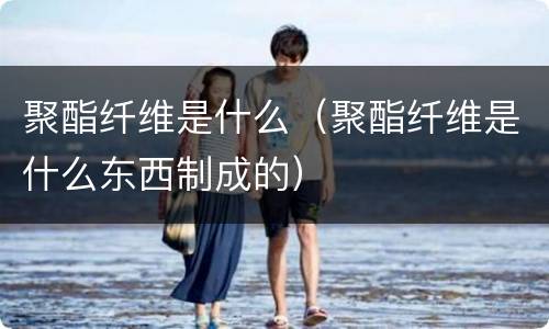 聚酯纤维是什么（聚酯纤维是什么东西制成的）