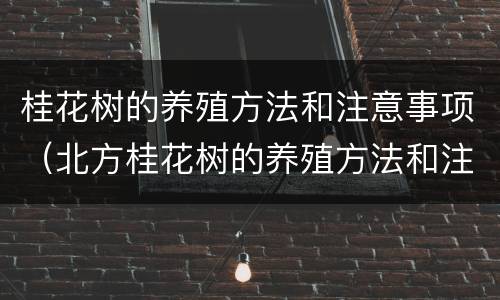 桂花树的养殖方法和注意事项（北方桂花树的养殖方法和注意事项）