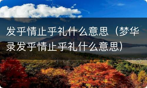 发乎情止乎礼什么意思（梦华录发乎情止乎礼什么意思）