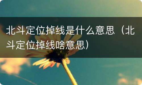 北斗定位掉线是什么意思（北斗定位掉线啥意思）
