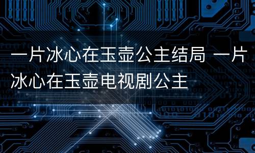 一片冰心在玉壶公主结局 一片冰心在玉壶电视剧公主