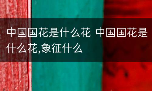 中国国花是什么花 中国国花是什么花,象征什么