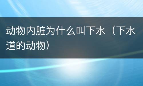动物内脏为什么叫下水（下水道的动物）
