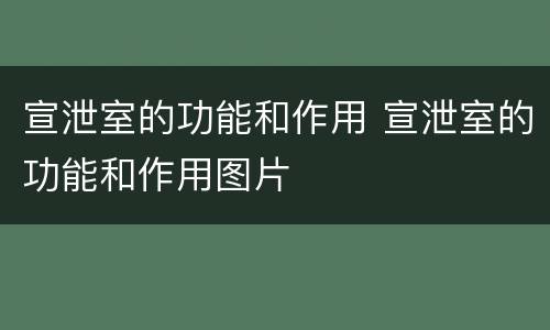 宣泄室的功能和作用 宣泄室的功能和作用图片