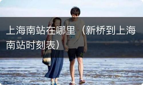 上海南站在哪里（新桥到上海南站时刻表）