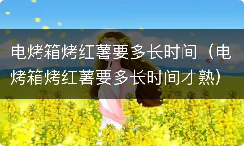 电烤箱烤红薯要多长时间（电烤箱烤红薯要多长时间才熟）