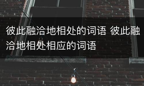 彼此融洽地相处的词语 彼此融洽地相处相应的词语
