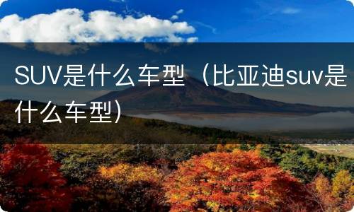 SUV是什么车型（比亚迪suv是什么车型）