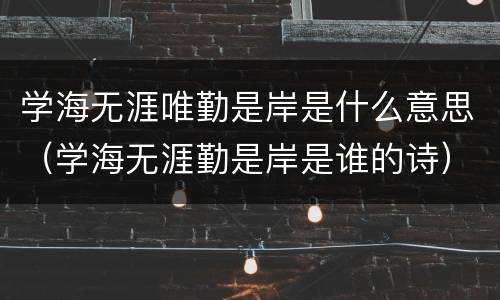 学海无涯唯勤是岸是什么意思（学海无涯勤是岸是谁的诗）