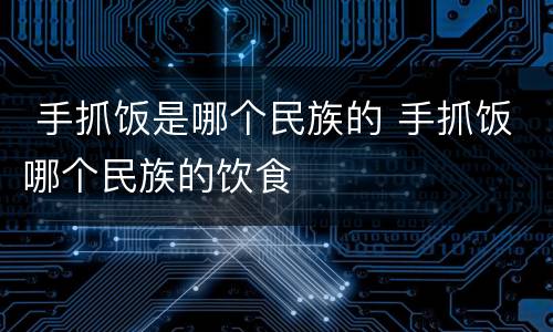  手抓饭是哪个民族的 手抓饭哪个民族的饮食