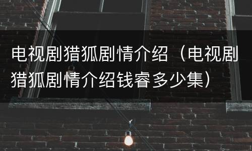 电视剧猎狐剧情介绍（电视剧猎狐剧情介绍钱睿多少集）