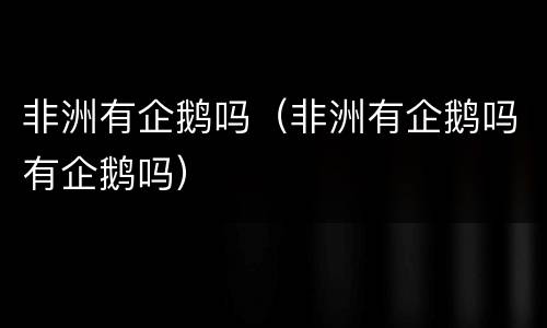 非洲有企鹅吗（非洲有企鹅吗有企鹅吗）