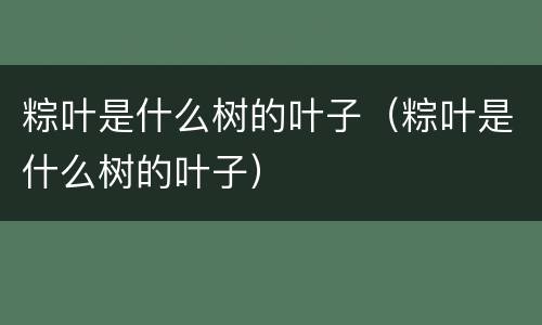 粽叶是什么树的叶子（粽叶是什么树的叶子）