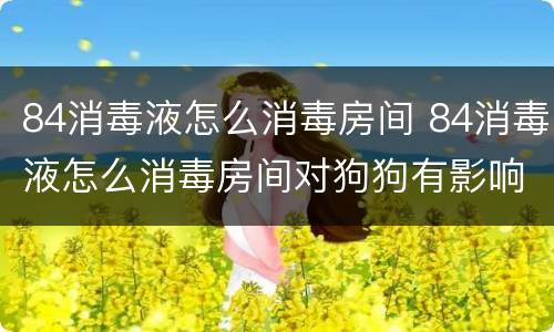 84消毒液怎么消毒房间 84消毒液怎么消毒房间对狗狗有影响吗